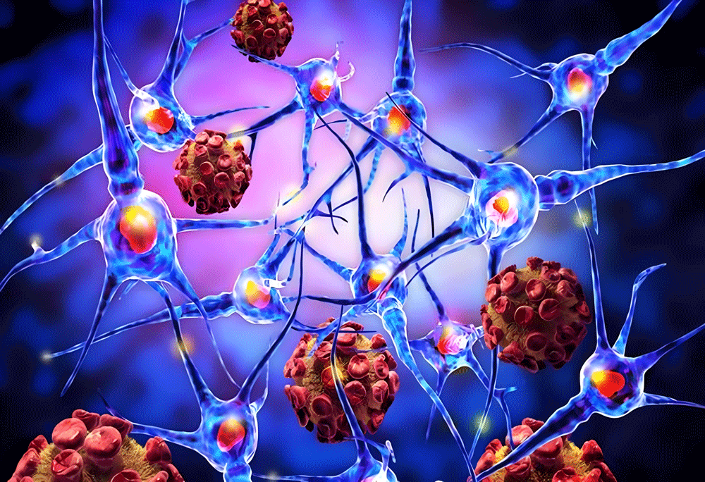 86292422.gif 微信图片_20250402104557.gif