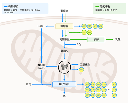 64716338.png 微信图片_20250327143607.png