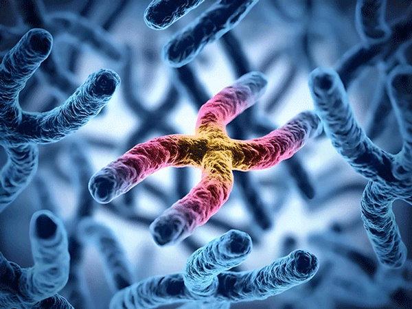 70510838.png 微信图片_20250327143657.png